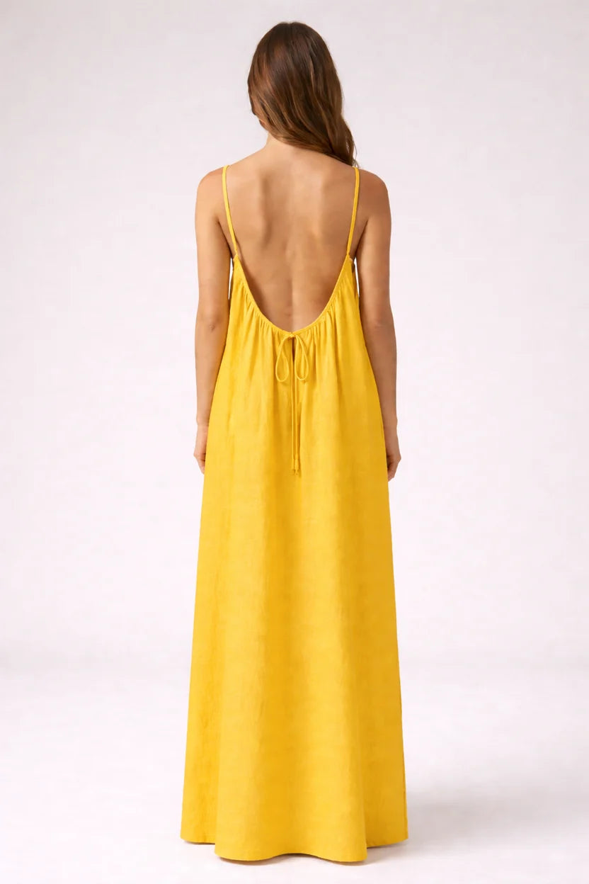 Stunning Backless Maxi Dress - Mango